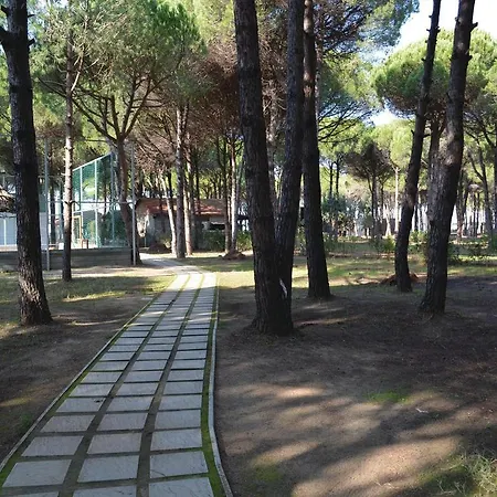 21 Appartement Qerret (Tirana)